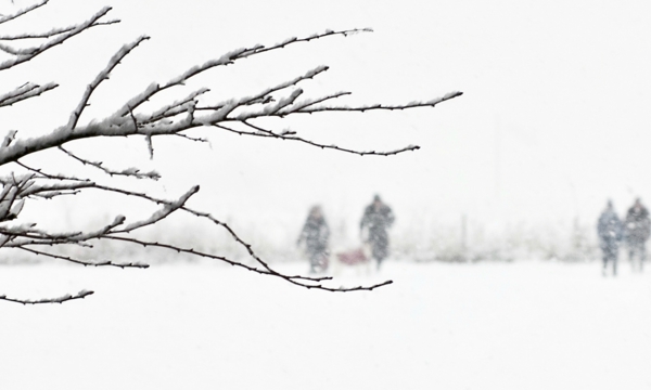 Winter scene of snow