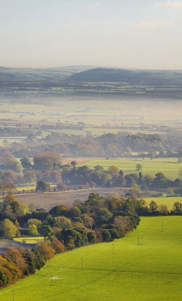 Rolling green fields
