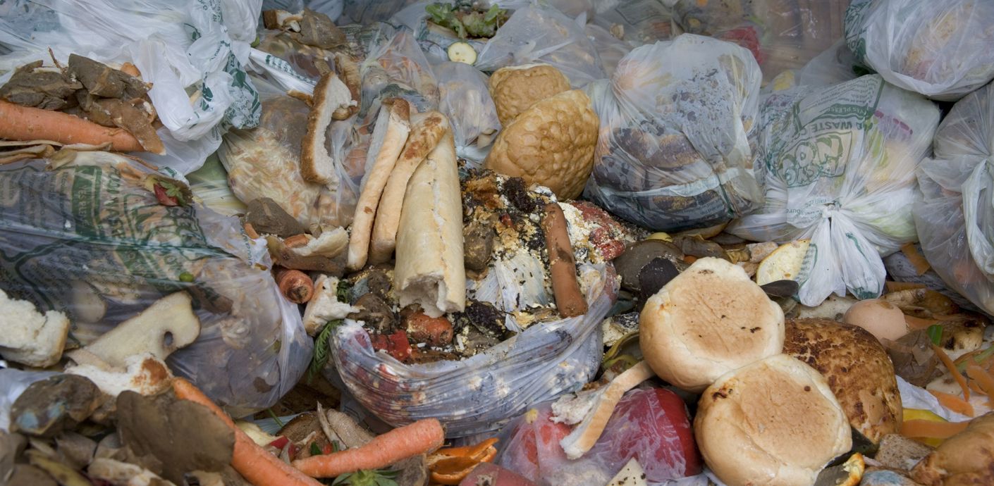 nojs Rotting wasted food