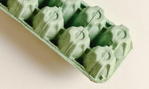 An egg box.