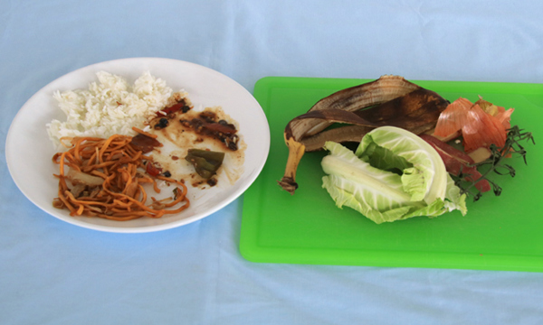 Food leftovers.