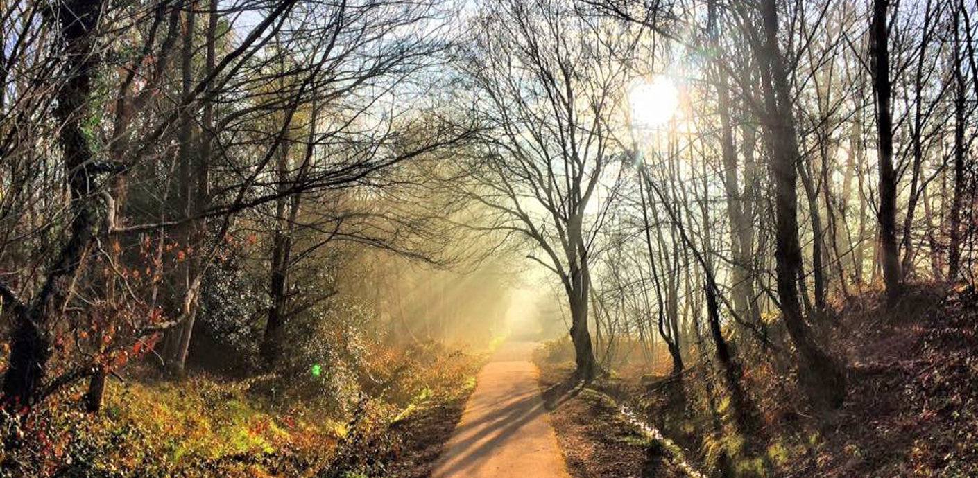 nojs Location, opening times and parking - A picturesque view of a tree-lined path with the sun shining through at Buchan Country Park.