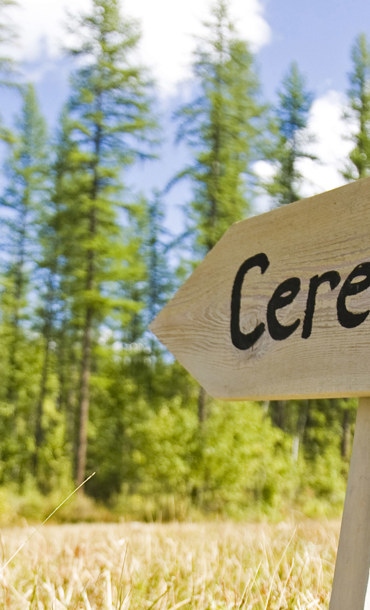 Signpost reading 'ceremony' in a field with trees in the background.