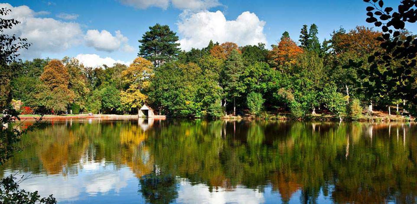 nojs Lake and woods at Buchan Park