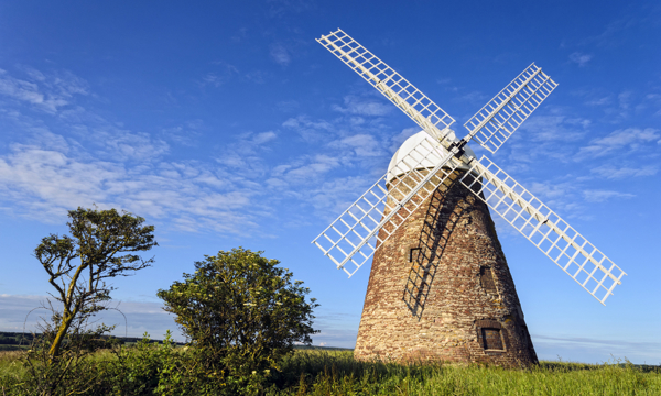 Backdrop of trees and blue skies behind Halnaker windmill