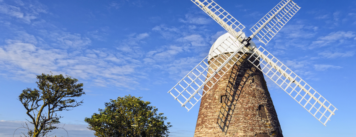 Backdrop of trees and blue skies behind Halnaker windmill