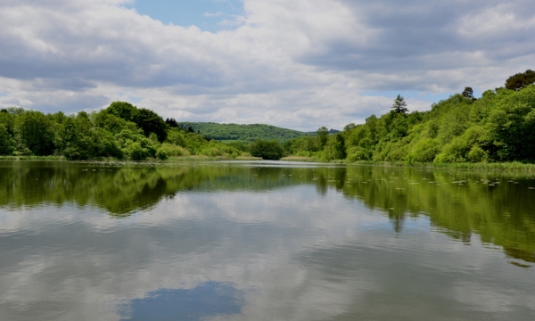 Burton mill lake