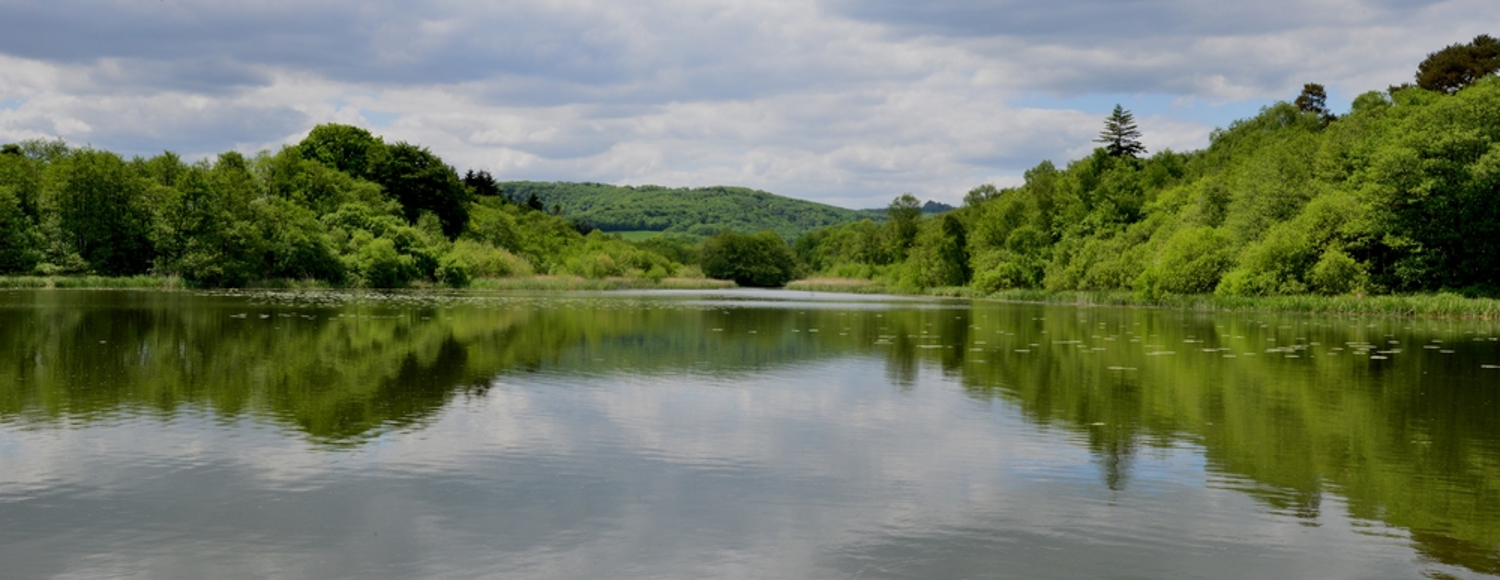 Burton mill lake
