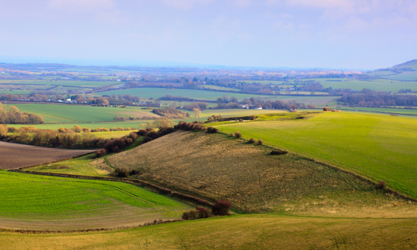 rolling hills