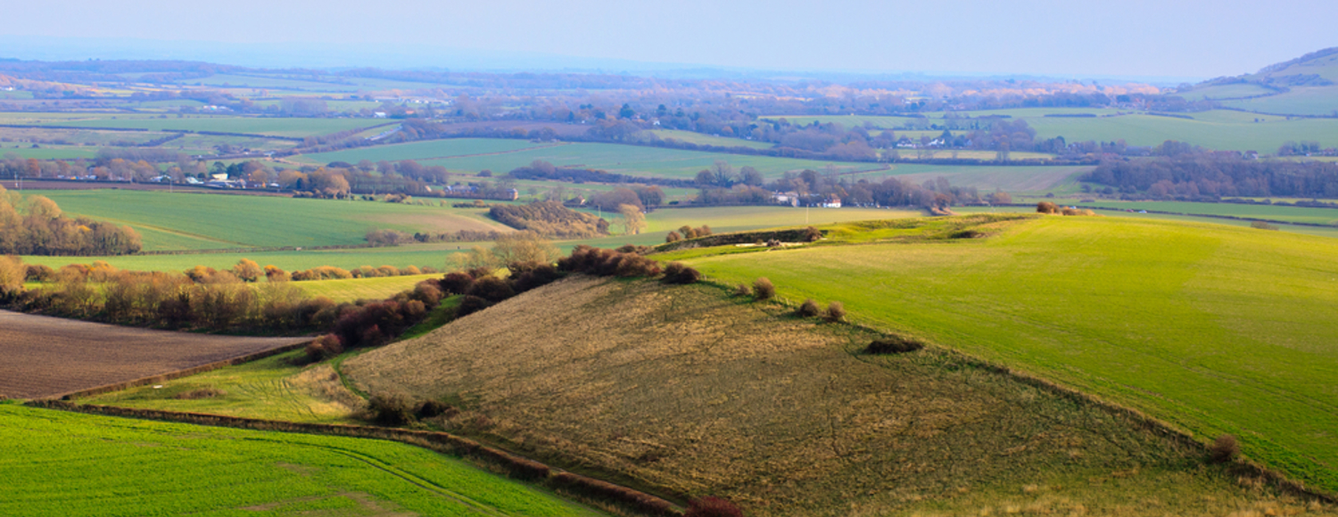 rolling hills