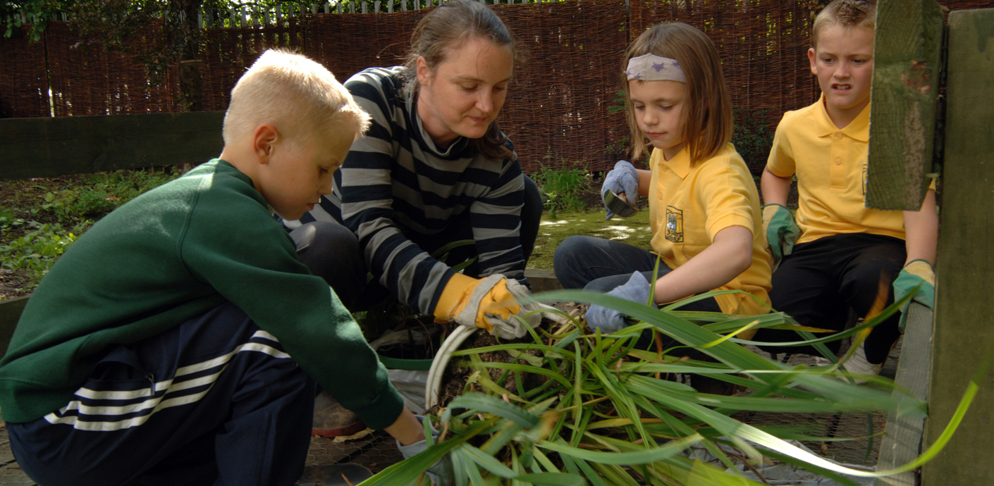 nojs Adult and 3 children playing in the garden