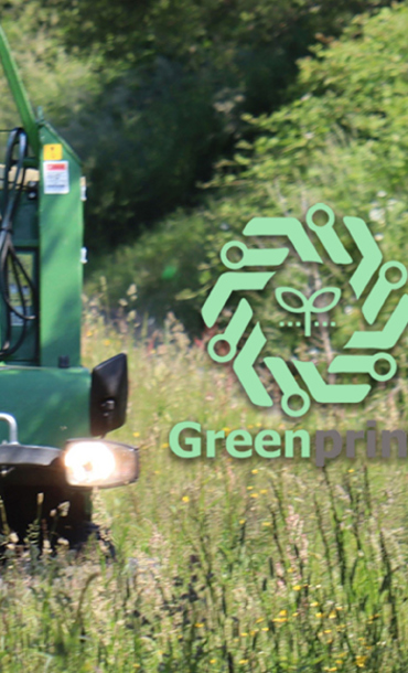 Man cutting grass verge